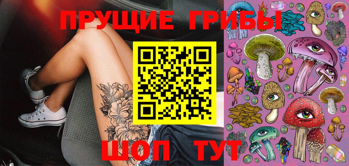 Галлюциногенные грибы Psilocybe  Вход с VPN  Елец 
