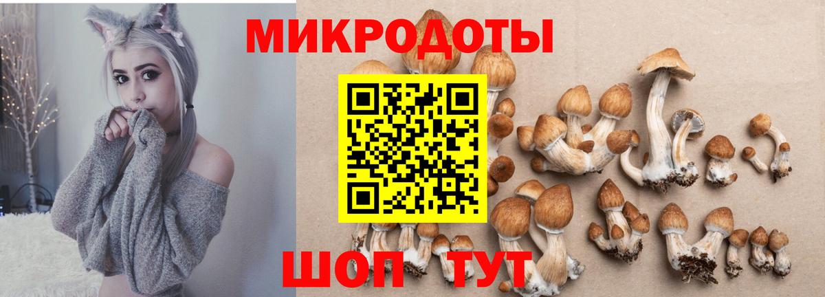 Псилоцибиновые грибы ЛСД Елец